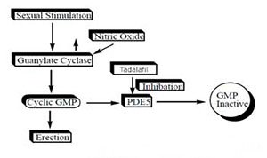 effect-of-Tadalis